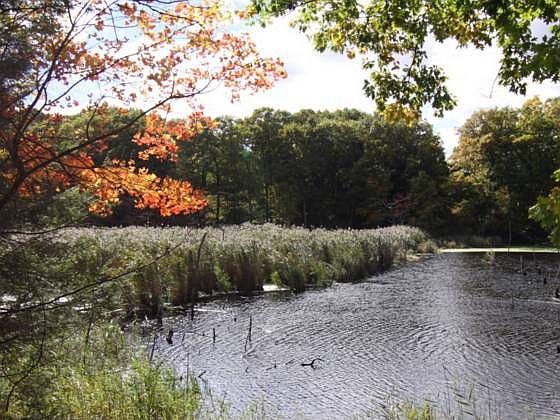 School House Pond