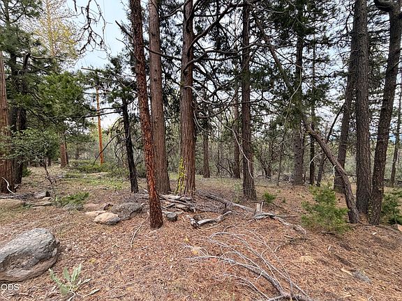 5th image of 0 Porpoise Ln #15
