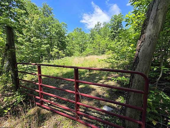 2nd image of 1271 Big Mill Run Rd