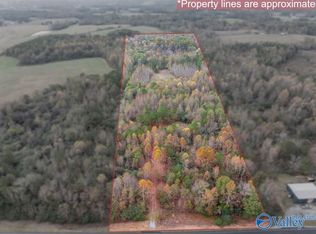 14.62 Ac Hwy #231, Blountsville, AL 35031