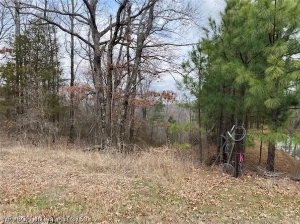 Pawpaw Branch Rd, Chester, AR 72934