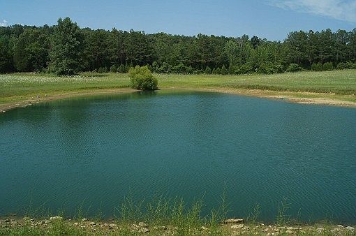 2nd image of 1285 Austin Raymer Rd