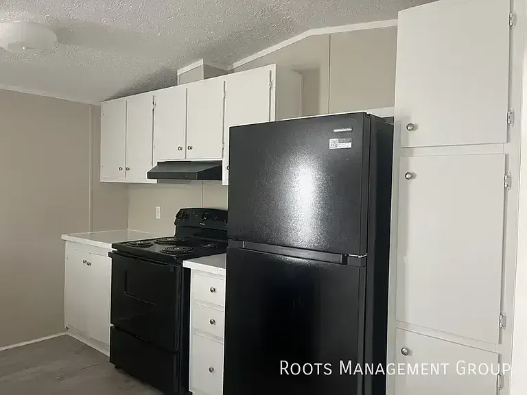 1151 Hunters Mountain Pkwy #1151 — Photo 5