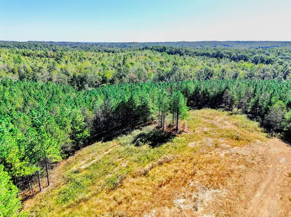 0 Warren Proctor Ln Lot 50, Erin, TN 37061