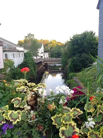 Williams River from Center Street. View of foot bridge.