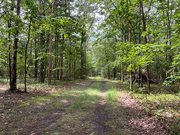 4th image of 875 Mulberry Cir Lot 477