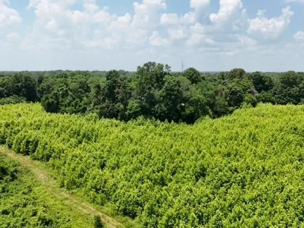 150 N/825 W, Hazleton, IN 47640