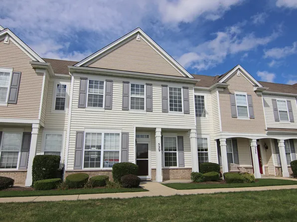 529 Cannonball Dr, Grayslake, IL 60030