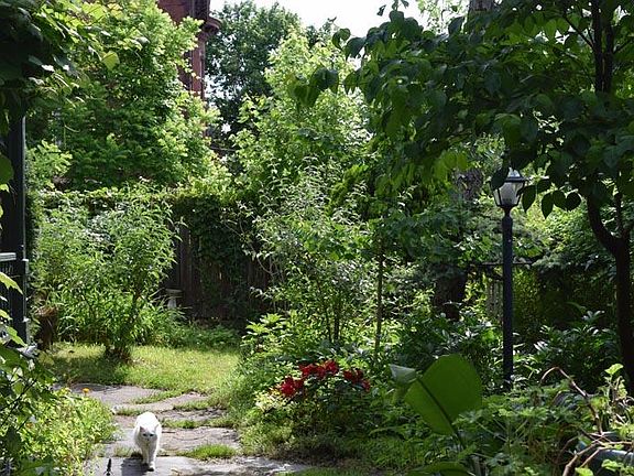 Summer garden
