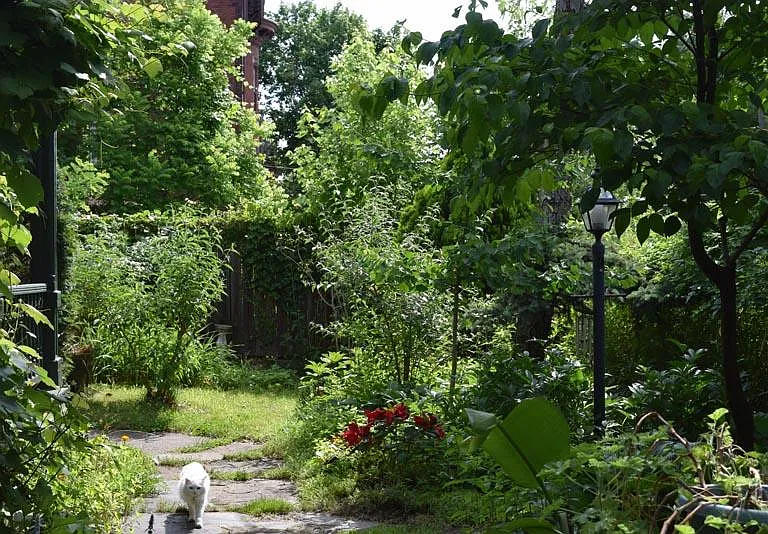 Summer garden