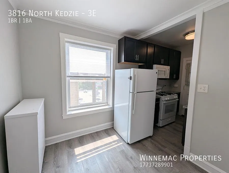 1 bed, $1,495 — Photo 4