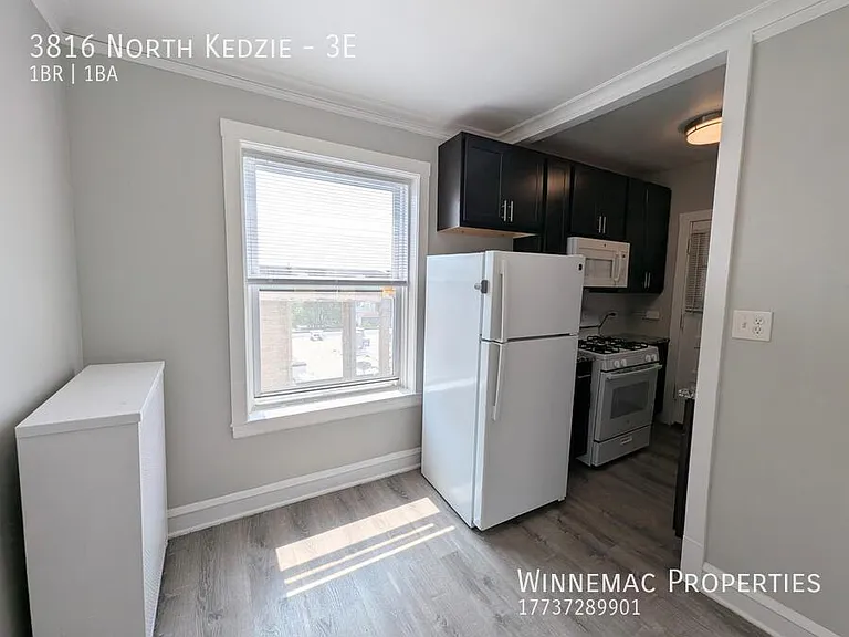 3816 N Kedzie Ave #2E — Photo 4