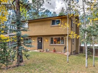 730 N Elm St, Woodland Park, CO 80863