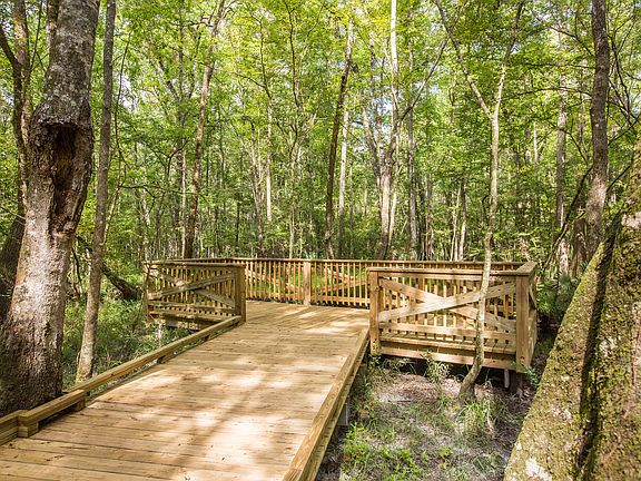 Launch onto Trout Creek