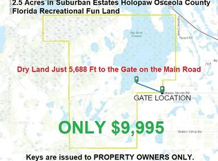 Holopaw Groves Rd, Saint cloud, FL 34771