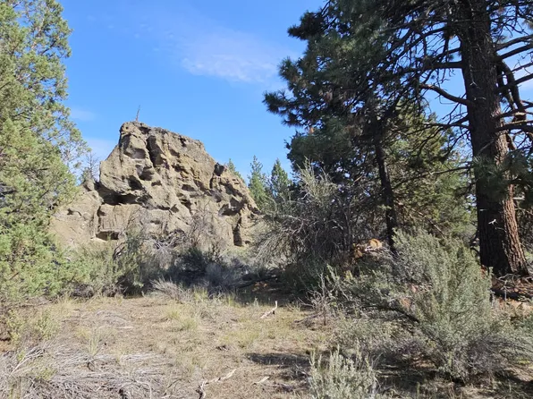 0 Little Fawn Dr #10, Chiloquin, OR 97624