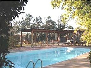 Pool & Pergola