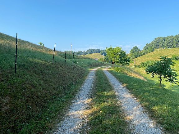Peaceful country driveway leading into the property