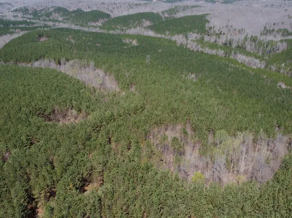 0 Sassafras Stand Ridge Rd Lot 10, Linden, TN 37096