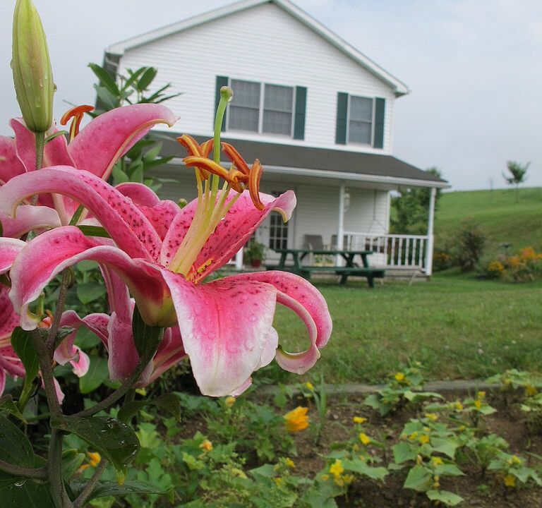 2nd image of 132 Green Valley Dr