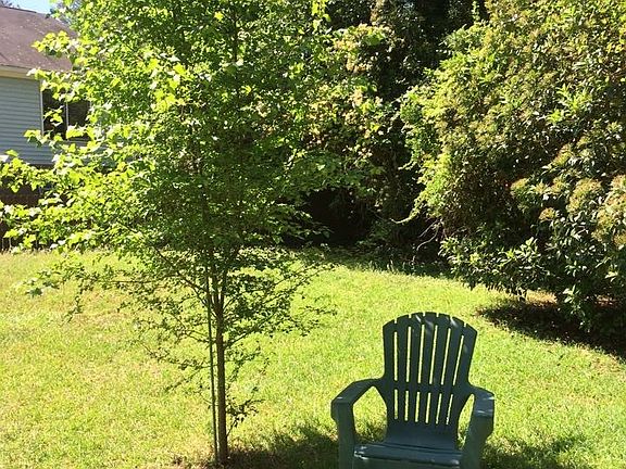 Hawthorne tree attracts bird
