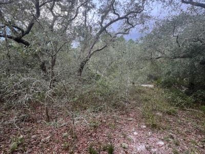 149 Levy Bay Rd, Panacea, FL, 32346
