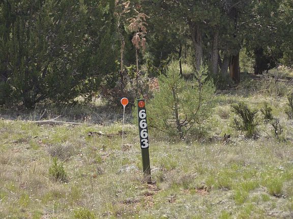 2nd image of 6663 Mogollon Trl
