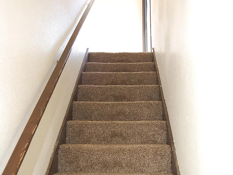 3123 Hillrise Dr #D — Photo 3