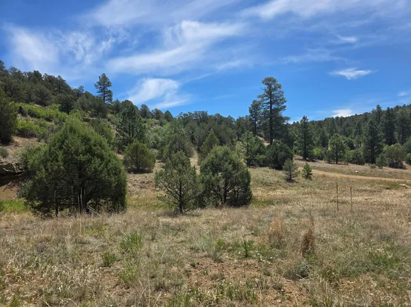 Pine Needles Rd #1091, Trinidad, CO 81082