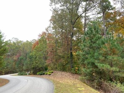 0 Harris Creek Dr UNIT 8, Ellijay, GA, 30540