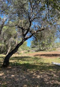 11550 Rex Reservoir Rd, Penn Valley, CA, 95949