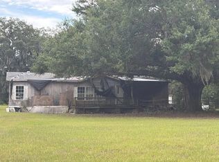 10401 Steven Dr, Polk City, FL 33868
