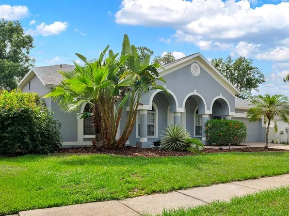 3703 Treeline Dr, Valrico, FL 33596