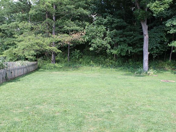Wooded Backyard