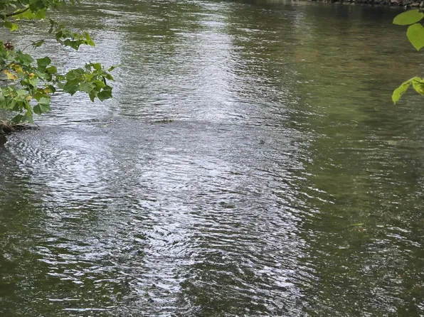 107 N River Rd, Covington, VA 24426