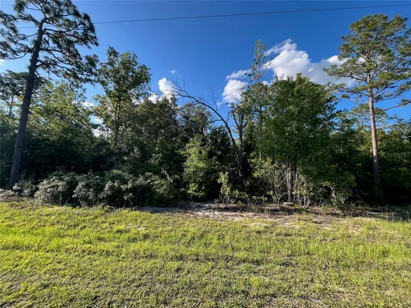SE 70th Ln Lot 53, Morriston, FL 32668