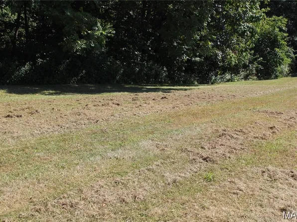 16677 Oak Bridge Rd, Brighton, IL 62012