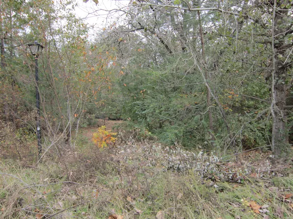 180 Tylers Trl, Lexington, SC 29073