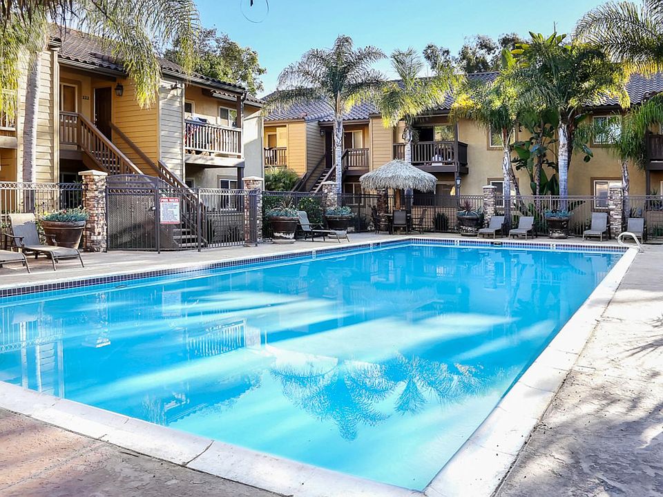 Beautiful olympic size community pool!