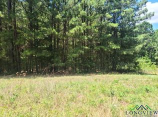 County Road 233 #D, Overton, TX 75684