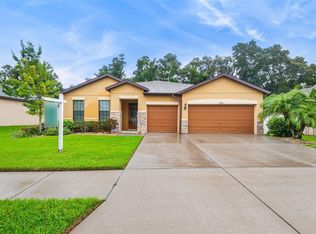 2236 Landside Dr, Valrico, FL 33594