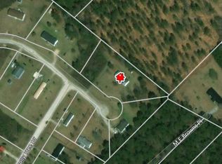 151 Pretty Branch Ln, Riegelwood, NC 28456