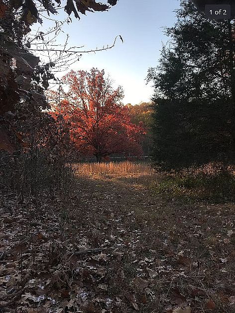 1st image of 2916 County Road 532