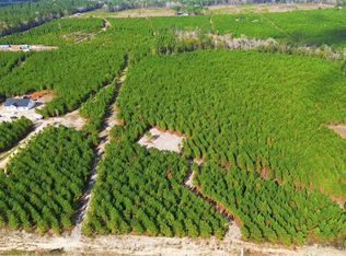 Blackjack Rd LOT 47, Livingston, TX 77351