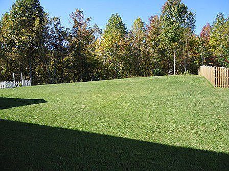 Large Flat Backyard