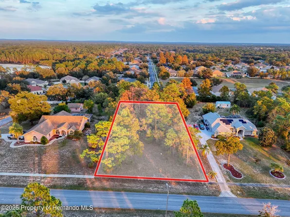 5176 Fenian Dr, Spring Hill, FL 34609