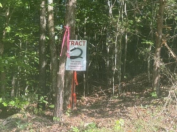 4th image of Tracts 1 4 Carroll Hollow Road 3 4 Lot 1-2