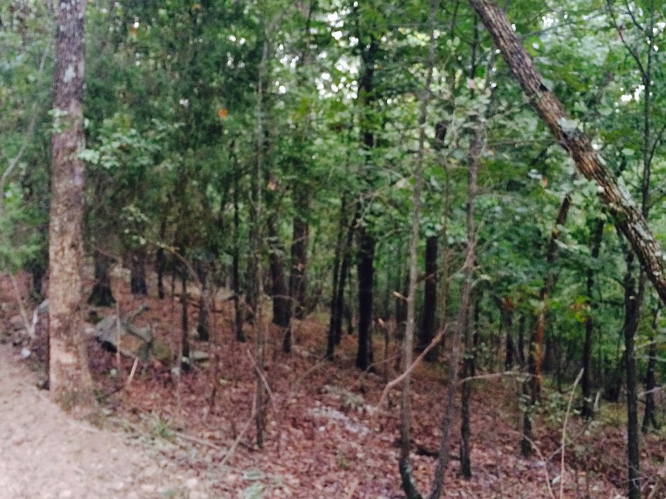 Beautiful wooded acreage 