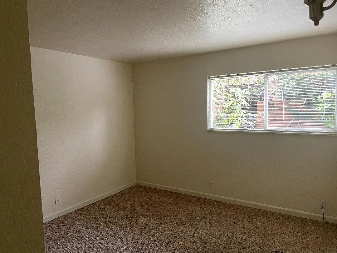 2 bed, 1.5 bath, $1,600 — Photo 4