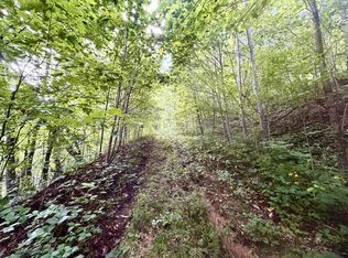 Ned Cove Rd, Waynesville, NC 28785
